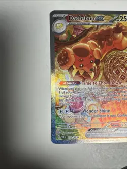 Pokemon Stellar Crown Dachsbun EX 169/142 Special Illustration Rare NM Condition - Image 4