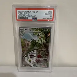 Pokemon Floragato 197/193 Sv02 Paldea Evolved Illustration Rare Holo PSA 10 - Image 1
