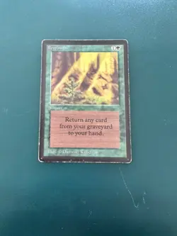 MtG Regrowth: Beta MP ACTUAL PHOTOS! - Image 1