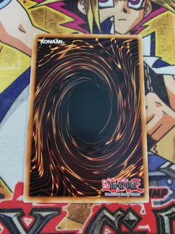 The Lady in Wight lodt-en038 Unltd Ed (NM) Common Yu-Gi-Oh! - Image 2