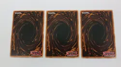 3x PITCH-BLACK WARWOLF PLAYSET 1ST EDITION RDS-EN026 COMMON YUGIOH NM - Image 2