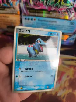 Pokemon Karte Card Karnimani Totodile Pcg Promo McDonald's Glossy japanese Exc- - Image 2