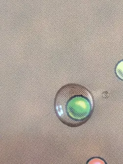 Marang River Regent Coil and Catch - Foil - Tarkir: Dragonstorm #0051 MTG Mag - Image 4