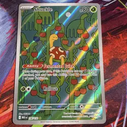 Shuckle 136/132 Illustration Rare ME01: Mega Evolution Pokemon TCG NM - Image 1