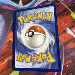Shuckle 136/132 Illustration Rare ME01: Mega Evolution Pokemon TCG NM - Image 4