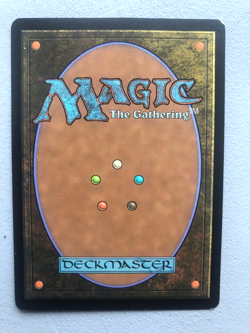 Mtg Carte Magic Future Sight Delay Retard French LP/MP - Image 2