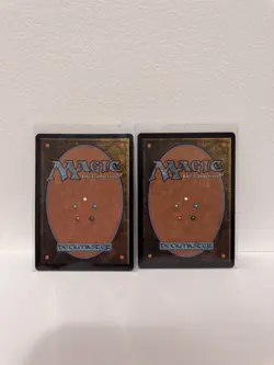 MTG Cabbage Merchant 0203 Extended Art Foil Avatar Last Airbender NM - Image 2