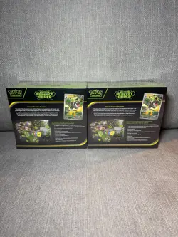 Pokemon Perfect Order Pokemon Center Elite Trainer Box ETB x 2 - Image 4