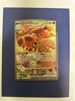 Dachsbun ex 169/142 Stellar Crown Special Illustration Rare Pokemon TCG LP-NM - Image 1