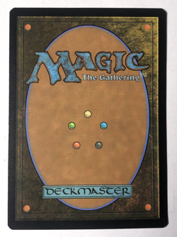 The Shire 261 Universes Beyond: the Lord of the Rings MTG Magic the Gathering NM - Image 2