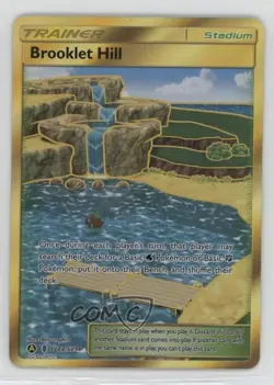 Secret - Brooklet Hill Pokemon Sun & Moon Hidden Fates Shiny Vault #SV88 - Image 1
