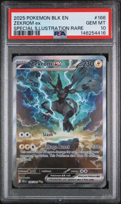 PSA 10 2025 Pokemon Zekrom EX 166 Special Illustration Rare - Image 1