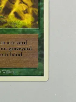 Regrowth - Unlimited Edition 1993 - MTG card [NM] - Image 4