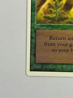 Regrowth - Unlimited Edition 1993 - MTG card [NM] - Image 5