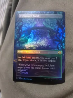 Overgrown Tomb - Borderless FOIL Rare - MTG #0350 - Lorwyn Eclipsed NM - Image 2