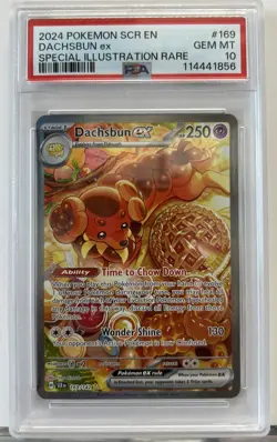 2024 POKEMON SCR EN-STELLAR CROWN SPECIAL ILLUSTRATION RARE DACHSBUN EX PSA 10 - Image 1