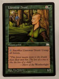 Llanowar Druid - Weatherlight - Magic the Gathering MTG Nice! - Image 1