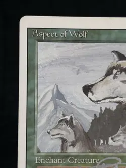 Magic the Gathering Revised Aspect Of Wolf ~LP/MP~ Signed By Jeff A. Menges - Image 3