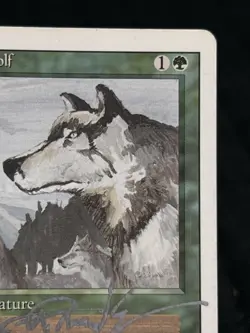 Magic the Gathering Revised Aspect Of Wolf ~LP/MP~ Signed By Jeff A. Menges - Image 4