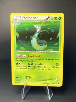 Serperior 6/114 Rare Holo Pokemon Card - Black & White Base set - 2011 - NM - Image 1