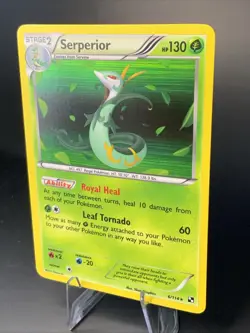 Serperior 6/114 Rare Holo Pokemon Card - Black & White Base set - 2011 - NM - Image 2