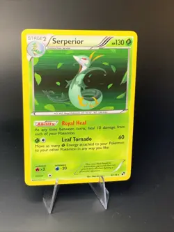 Serperior 6/114 Rare Holo Pokemon Card - Black & White Base set - 2011 - NM - Image 3