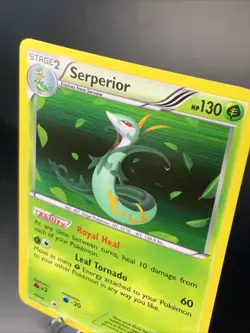 Serperior 6/114 Rare Holo Pokemon Card - Black & White Base set - 2011 - NM - Image 4