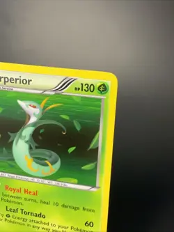 Serperior 6/114 Rare Holo Pokemon Card - Black & White Base set - 2011 - NM - Image 5