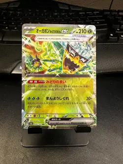 Teal Mask Ogerpon ex 020/187 Holo Pokemon Terastal Festival Japanese NM - Image 1
