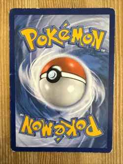 Litten - SM02 - Promo - SM Black Star Promo DMG, English Pokemon Promos - Image 2