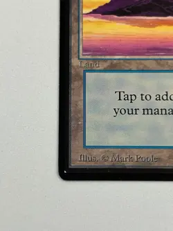 Island (A) - Beta Edition 1993 - MTG card [NM] - Image 5