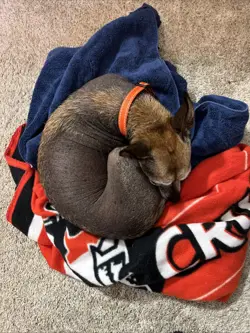 Wonders of the First Blackhole Blunderbuss 144 FORMLESS FOIL Rare Existence - Image 3