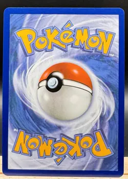 Larry’s Staraptor 249/217 Illustration Rare Ascended Heroes Pokemon TCG NM - Image 2