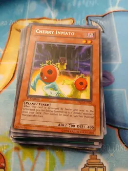 Cherry Inmato TSHD-EN022 The Shining Darkness 1st Edition - Image 1