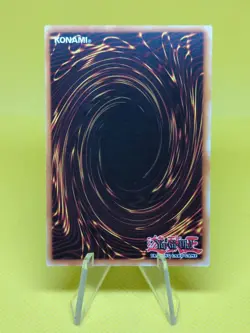 Yugioh - Patrician of Darkness (SDZW-EN005) - Common 1st Edition - Image 2