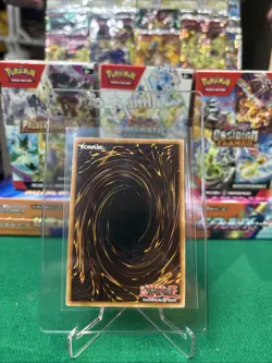 Yu-Gi-Oh! Black Luster Soldier (SYE-024) 1st Edition Lp/mp - Image 3