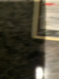 Greninja Star SWSH144 SWSH: Sword & Shield Promo Cards Holo - Image 5