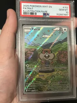 2025 POKEMON WHT EN-WHITE FLARE | ILLUSTRATION RARE #152 PATRAT PSA 10 - Image 1
