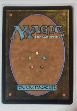 EVENDO, WAKING HAVEN - Borderless, Foil - Edge of Eternities - MTG Mythic #279 - Image 4