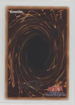 Red-Eyes Darkness Dragon Japanese YuGiOh 's Roar Structure Deck #SD1-JP001 2005 - Image 2