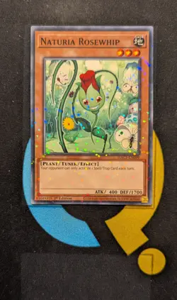 HAC1-EN099 Naturia Rosewhip Duel Terminal Rare 1st Edition YuGiOh - Image 1