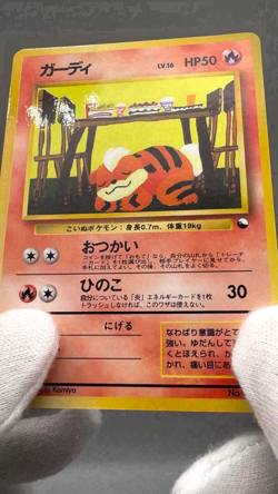 Growlithe No.058 Vending Series 3 Old back Vintage Glossy Pokemon Card Japanese - Image 2