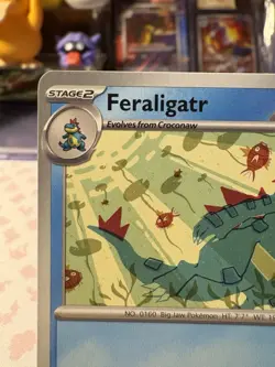 Feraligatr 213 Promo Illustration Contest 2024 Pokemon Eng NM - Image 2
