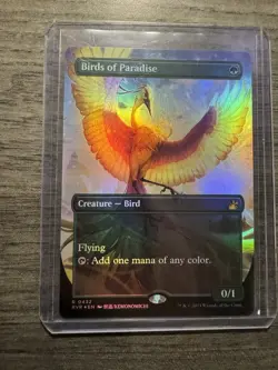 Birds of Paradise Anime Borderless FOIL - Ravnica Remastered MTG NM - Image 1