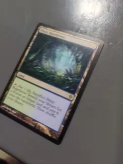 Misty Rainforest - MTG -Zendikar - LP - Image 3