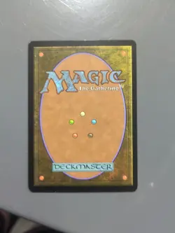 Misty Rainforest - MTG -Zendikar - LP - Image 4