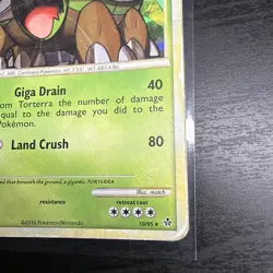2010 Pokemon, HGSS Unleashed Promos, #10/95 Torterra, Cracked Ice Holo Rare (b) - Image 4