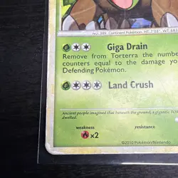 2010 Pokemon, HGSS Unleashed Promos, #10/95 Torterra, Cracked Ice Holo Rare (b) - Image 5