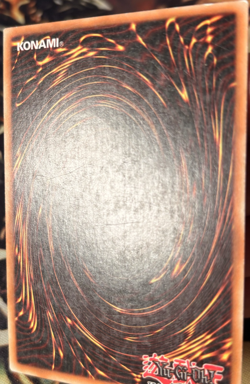 Yugioh: Red-Eyes Toon Dragon - SHVI-EN036 - Super Rare - Unlimited - MP - Image 4