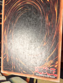 Yugioh: Red-Eyes Toon Dragon - SHVI-EN036 - Super Rare - Unlimited - MP - Image 5